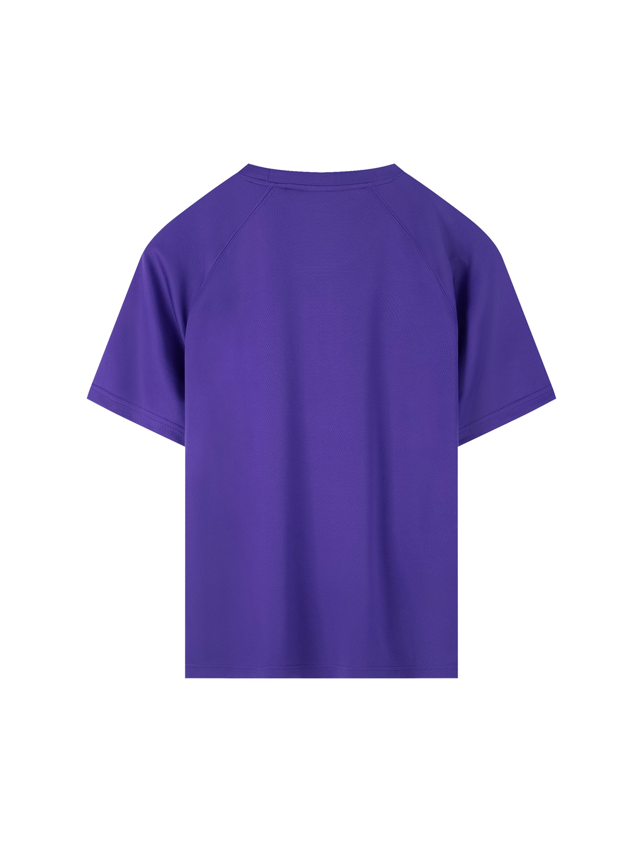 Raglan Sleeve Mesh T-Shirt
